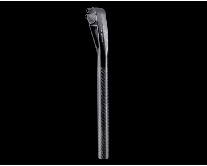 MANDIBULA