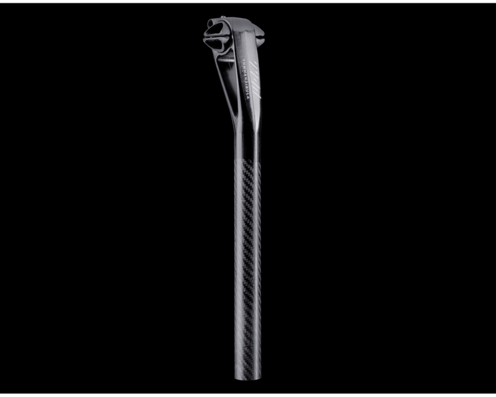 MANDIBULA