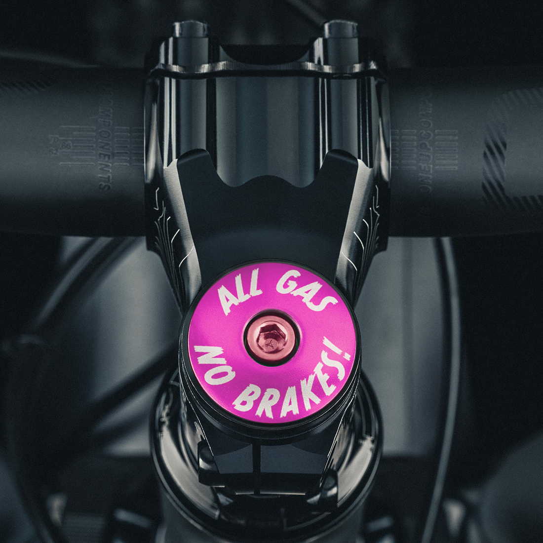 All Gas No Brakes - Custom Bike Headset Cap