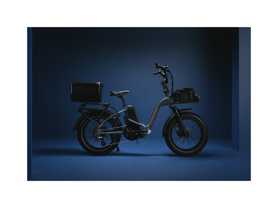 RadExpand™ 5 Plus Electric Folding Bike