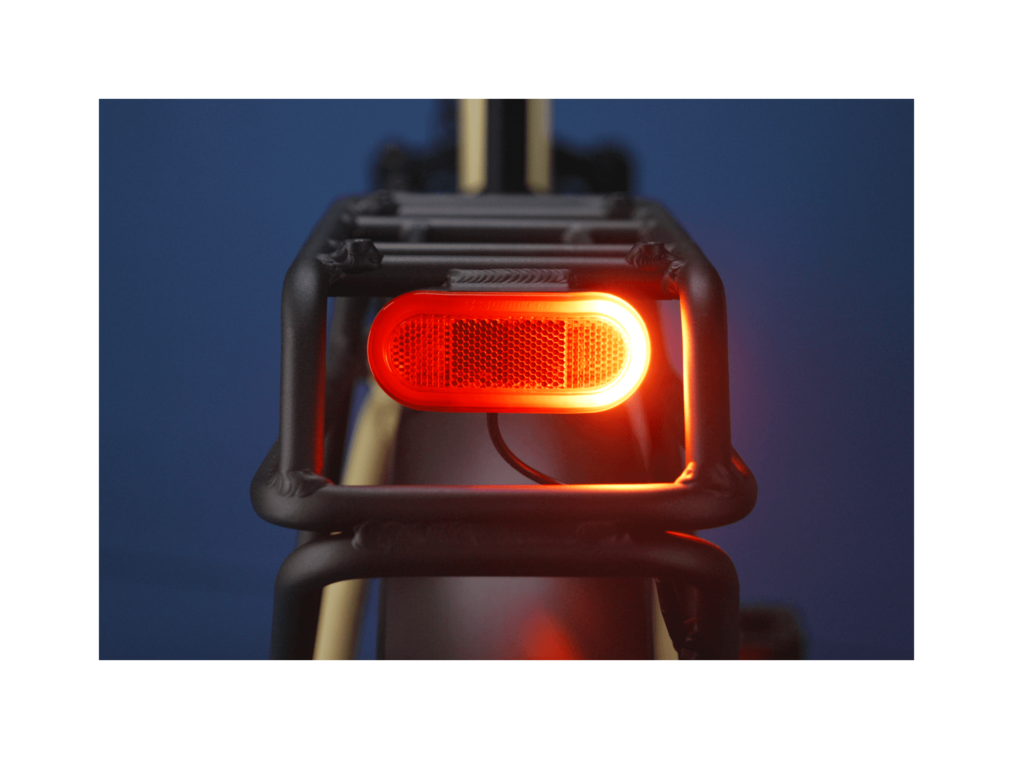 RadExpand™ 5 Plus Electric Folding Bike