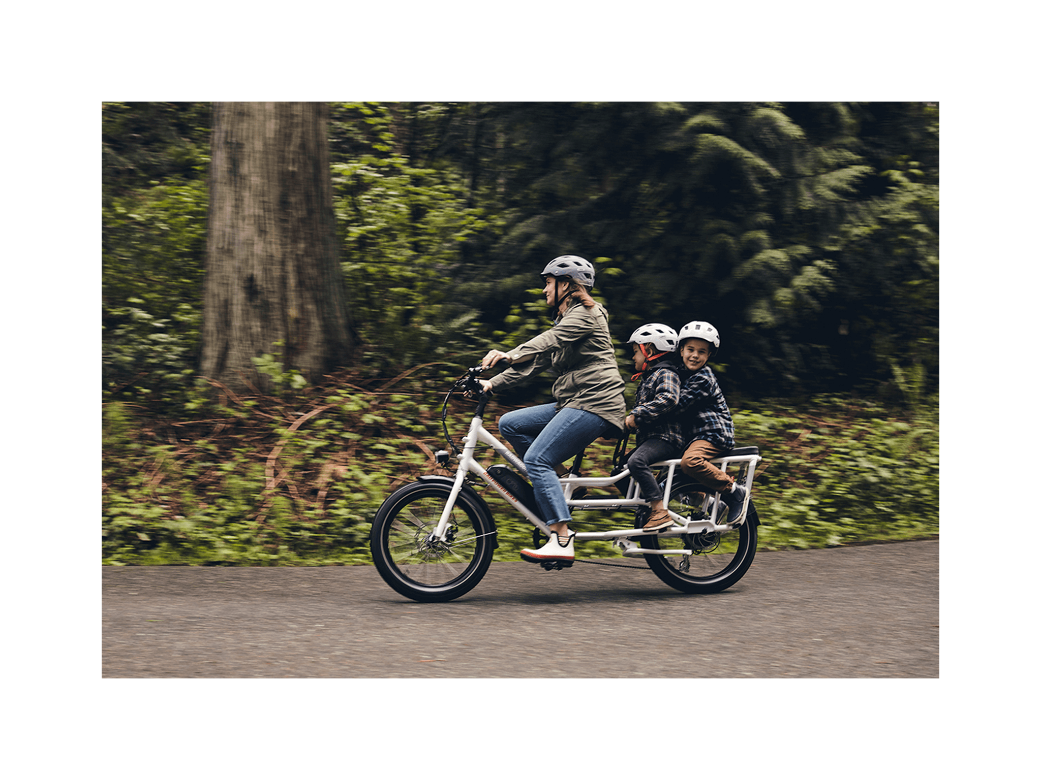 RadWagon™ 4 Electric Cargo Bike