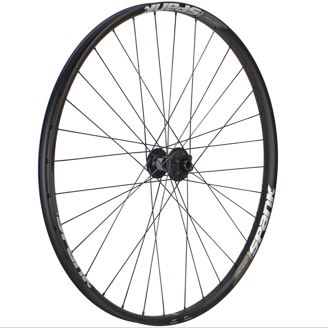 Wheel Factory Spank 350 29" DT 370 15x110 IS